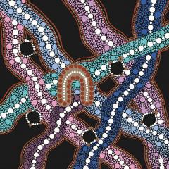 Easing dementia’s burden on Indigenous Australians