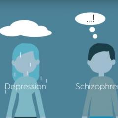  Disability highest for schizophrenia and personality disorders