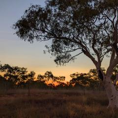 Indigenous communities