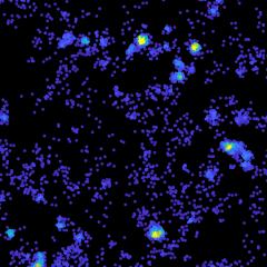 Tau hot spots